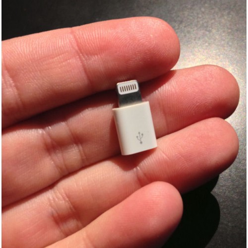 Lightning to Micro USB Adapter